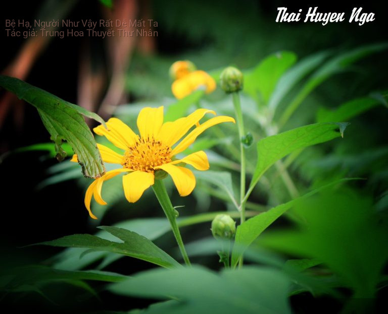 Bệ Hạ, Người Như Vậy Rất Dễ Mất Ta