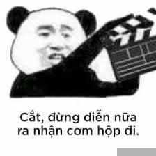 Con Nuôi Hay Con Đẻ