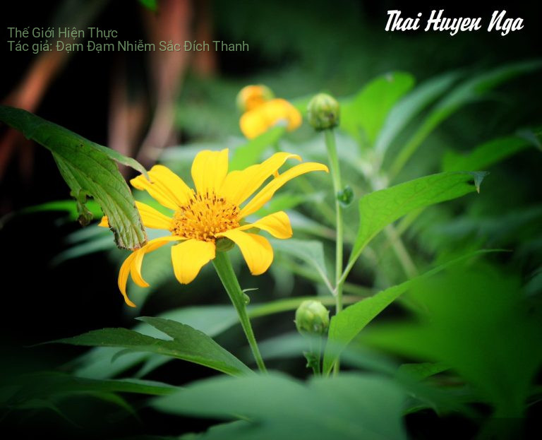 Thế Giới Hiện Thực